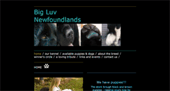 Desktop Screenshot of newfiedog.com